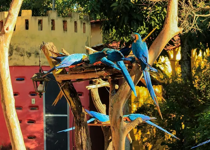 Pousada Do Sol Alto Paraíso de Goiás